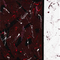 Maroon with Bright Splatter - Print